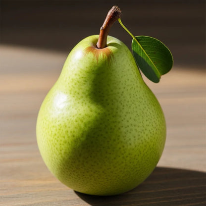 Cordon 'Concorde' Pear Tree | 5ft | Bare Root