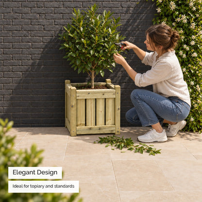 Elegant Square Planter - elegant design