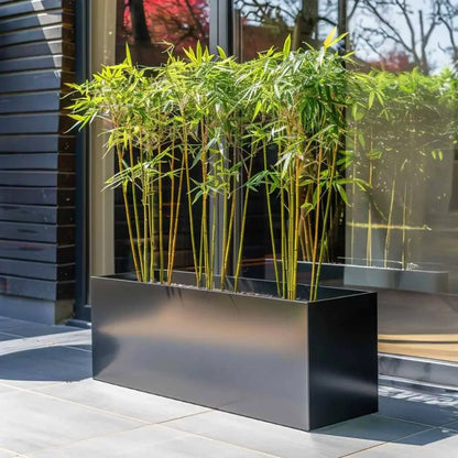 #120cm(L) x 40cm(W) x 40cm(H) 
#100cm(L) x 40cm(W) x 40cm(H) 
#Glossy Black