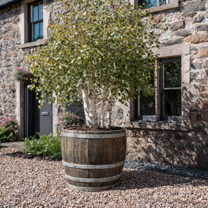 #90cm(D) x 94cm(H) 3/4 Barrel
#Natural Timber/Rustic Silver Band
#with Liner
#without Liner