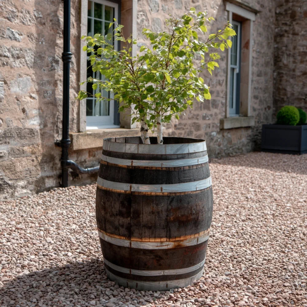 #65-70cm(D) x 90cm(H) Full Barrel
#Natural Timber/Rustic Silver Band
#with Liner
#without Liner