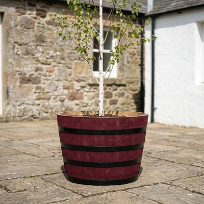 #90cm(D) x 65-66cm(H) Half Barrel
#Burgundy/Black Band
#with Liner
#without Liner