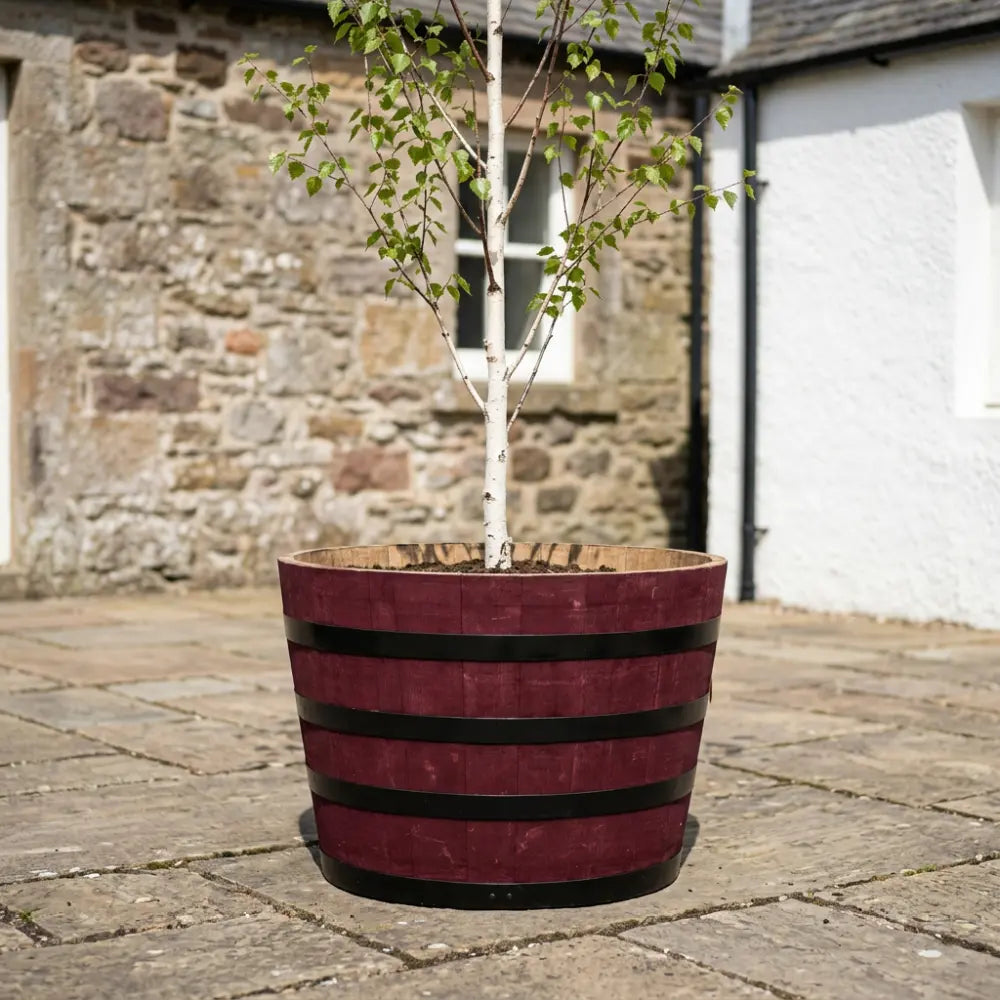 #90cm(D) x 65-66cm(H) Half Barrel
#Burgundy/Black Band
#with Liner
#without Liner