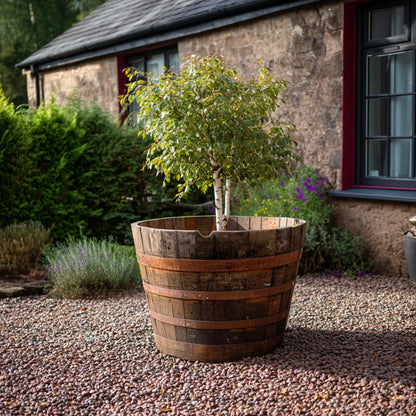 #90cm(D) x 65-66cm(H) Half Barrel
#Natural Timber/Rustic Band
#with Liner
#without Liner
