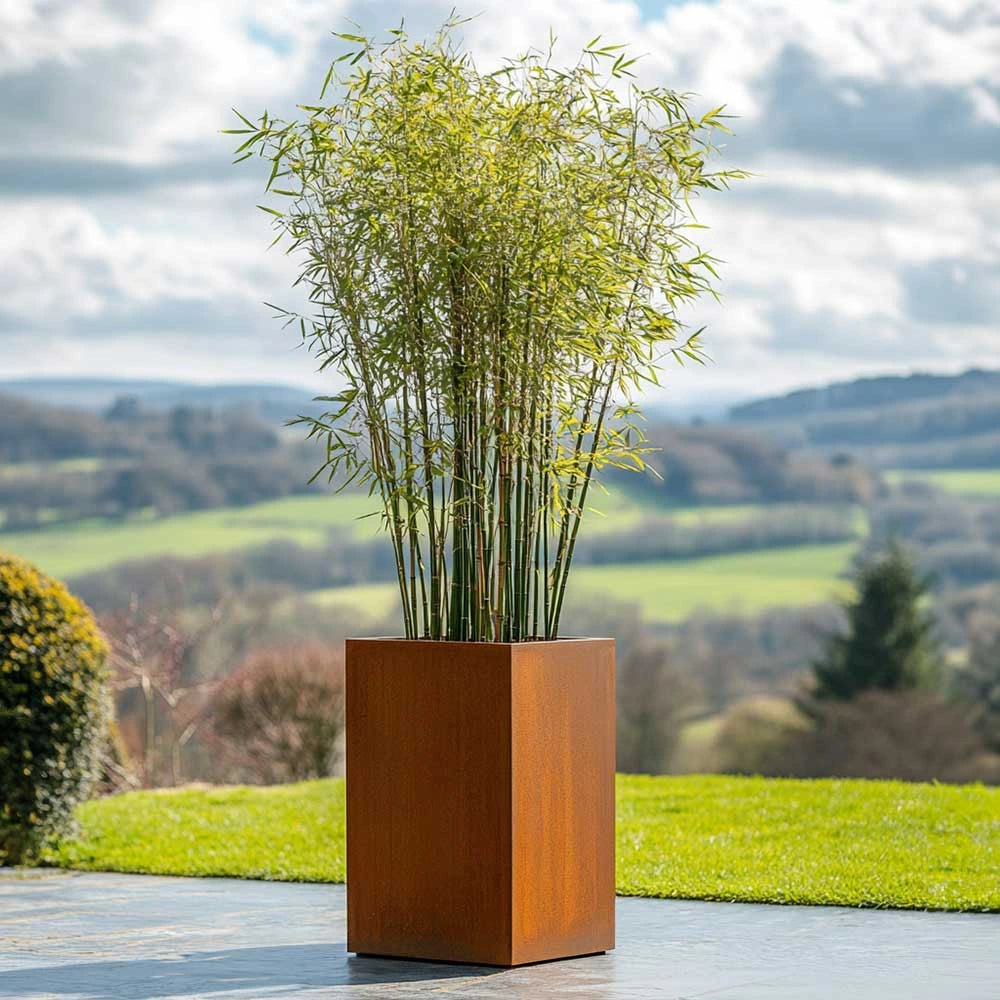 tall outdoor plant pots uk Pre-Rusted Corten Steel Straight Edge Tall Square Planter with Feet – Planters.co.uk