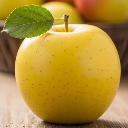 5ft 'Golden Delicious' Apple Tree | 9L Pot | 2 Years Old