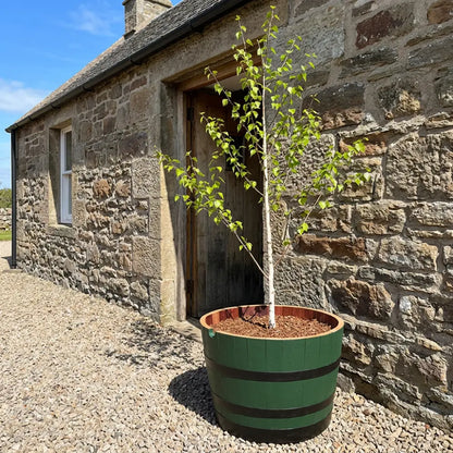 #65-80cm(D) x 44-50cm(H) Half Barrel
#Green/Black Band
#with Liner
#without Liner