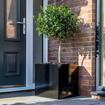 Zinc Galvanised Cube Metal Planter