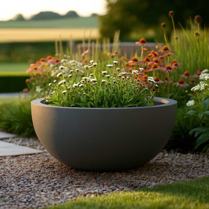 Zinc Galvanised Bowl Planter