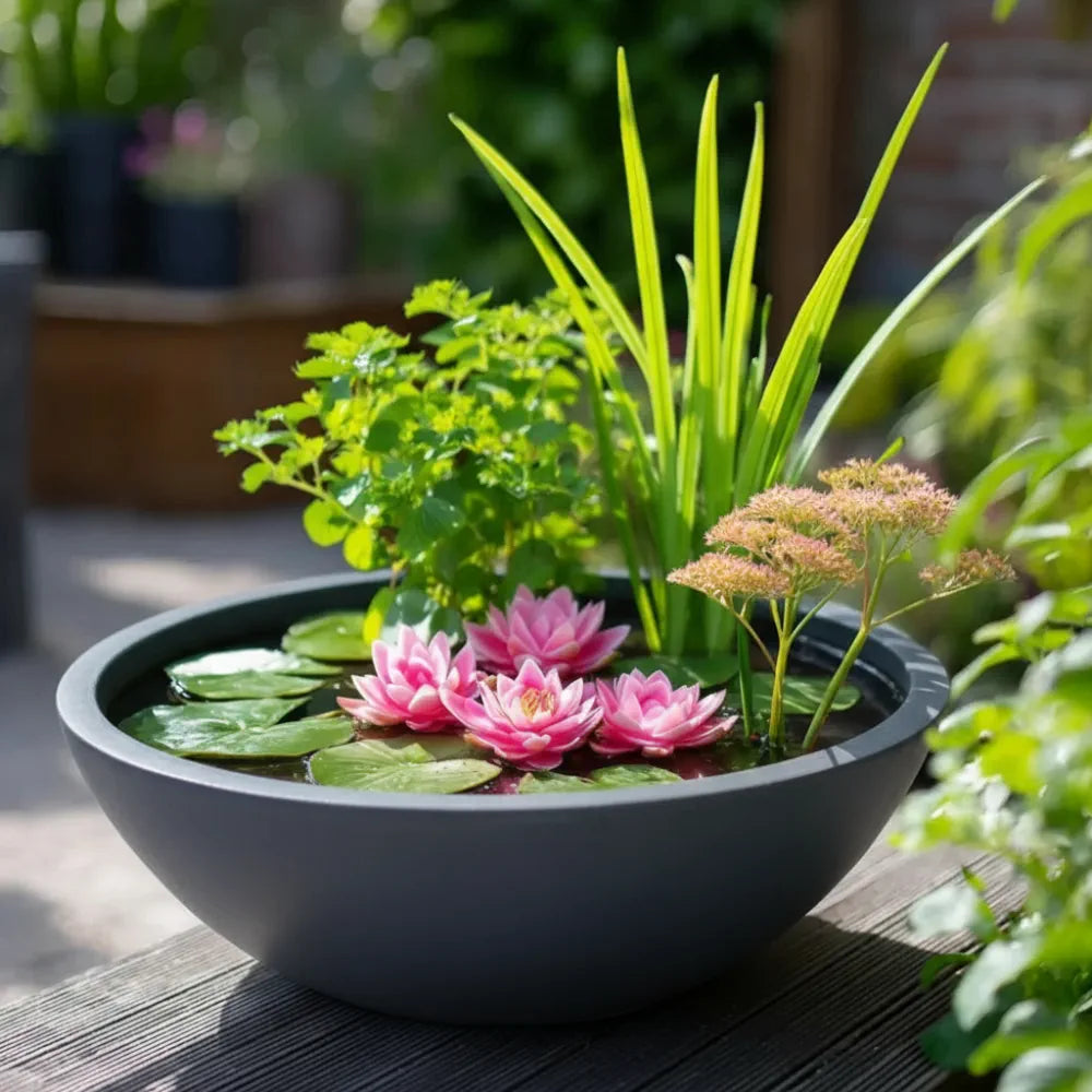 #51cm(D) x 25cm(H)
#Grey Stone
#9W Floating Fountain