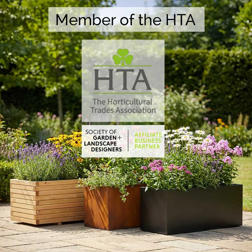 5ft 'Ellisons Orange' Apple Tree | 9L Pot | 2 Years Old