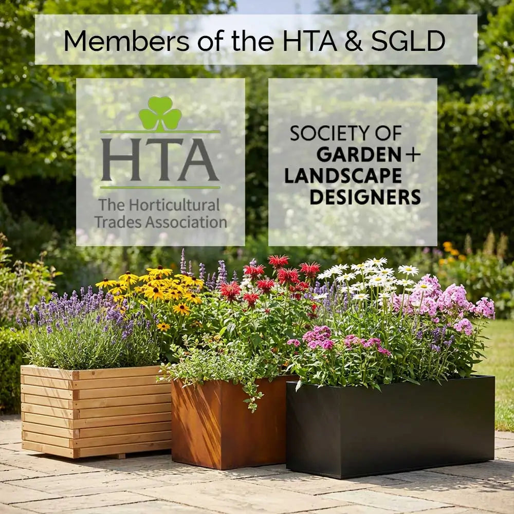 Award Winning Patio Fruit Tree Collection | Cherry, Pear & Plum Trees