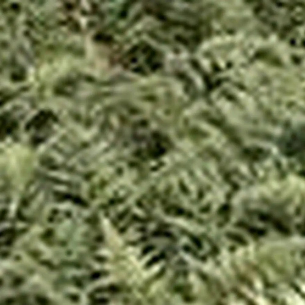 #9 cm Pot - Pack of 3