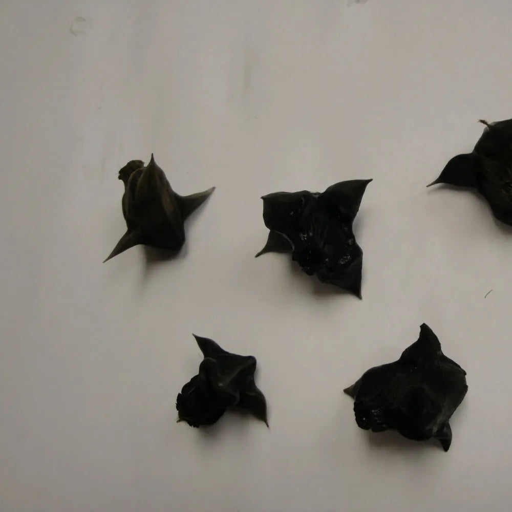 #Pack of 5