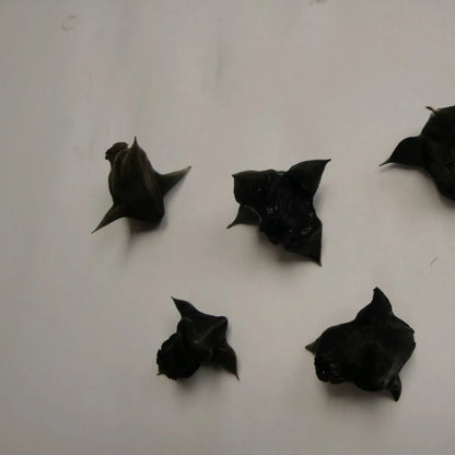 #Pack of 5
