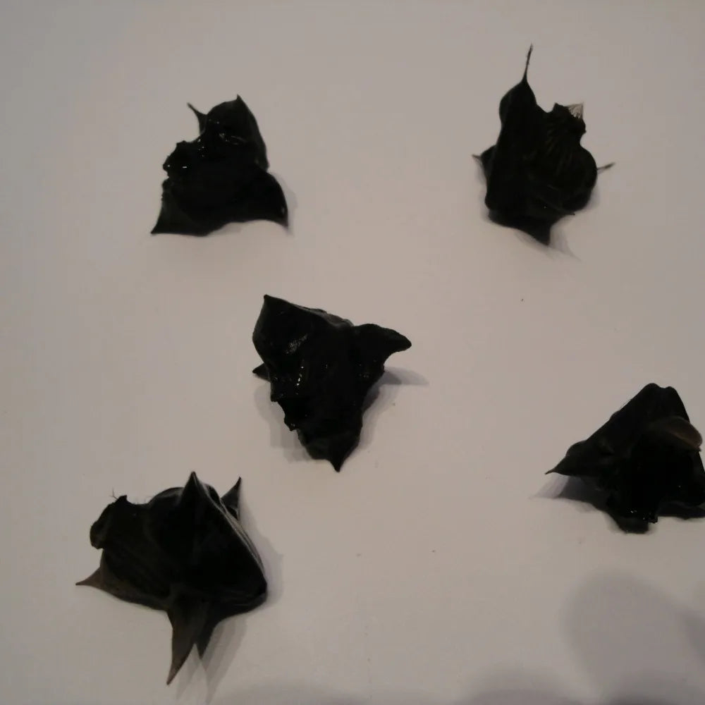 #Pack of 5