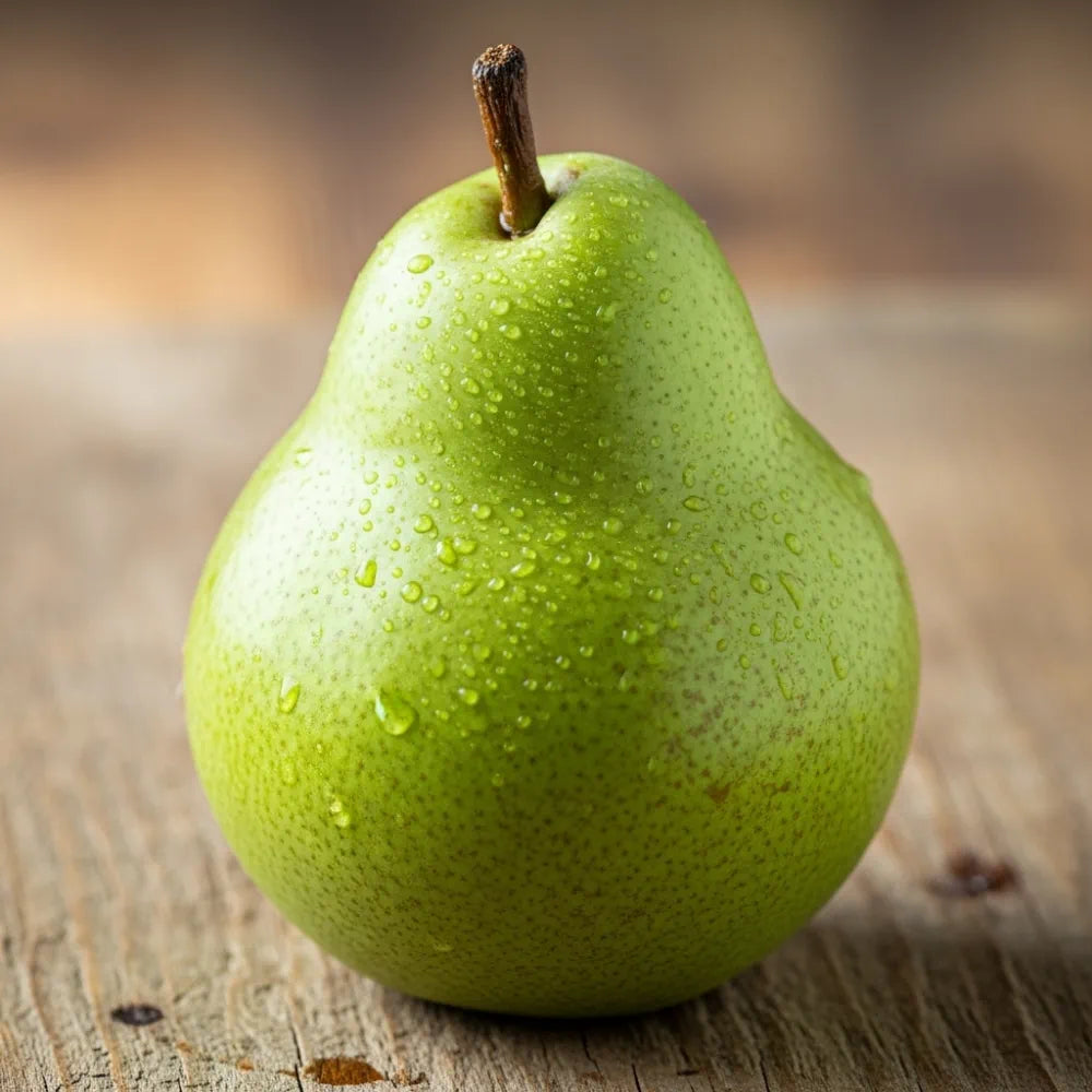 Concorde' Patio Pear Tree