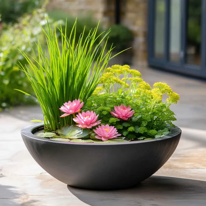 #without Plants (Bowl and Mesh Only)
#5W Fountain