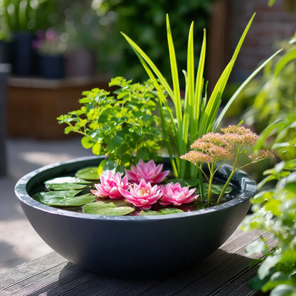 #without Plants (Bowl and Mesh Only)
#5W Fountain