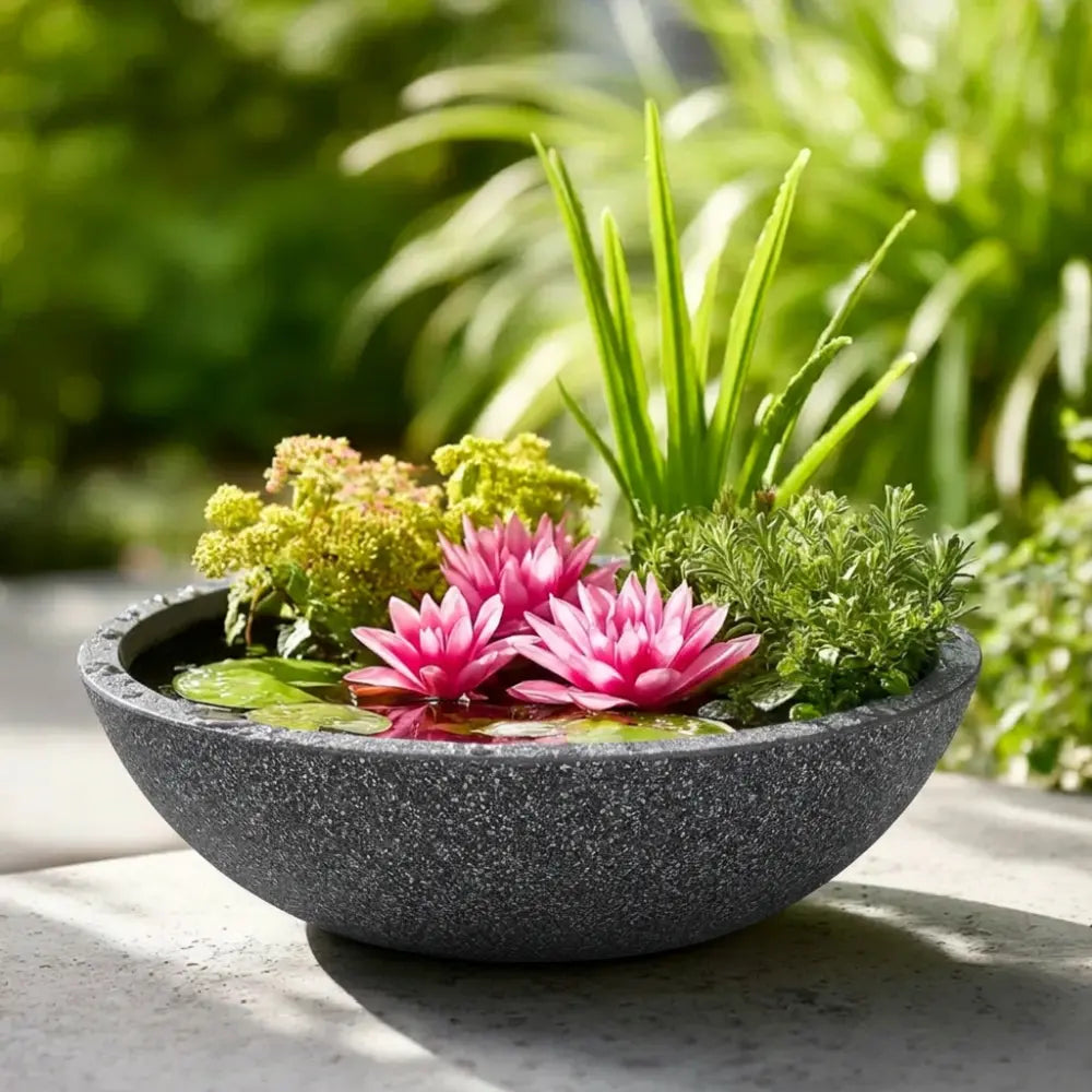 55cm Wildlife Pond In A Pot Kit
