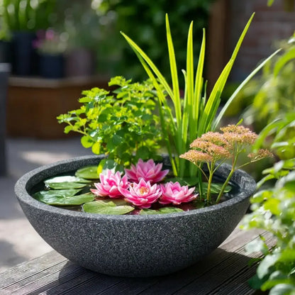 55cm Wildlife Pond In A Pot Kit