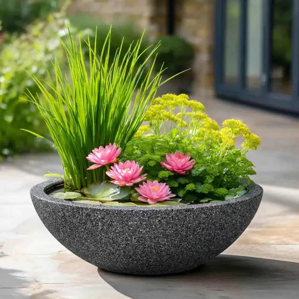 55cm Wildlife Pond In A Pot Kit