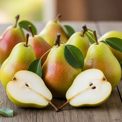 6ft Half-Standard 'Green Williams' Mature Pear Tree | 6/8cm Girth | Grown in 20L Airpot